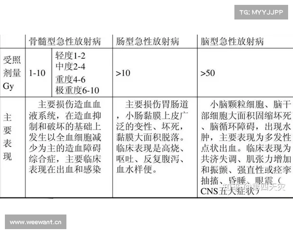 辐射对人体的危害:深度剖析 辐射对人体的危害:深度剖析